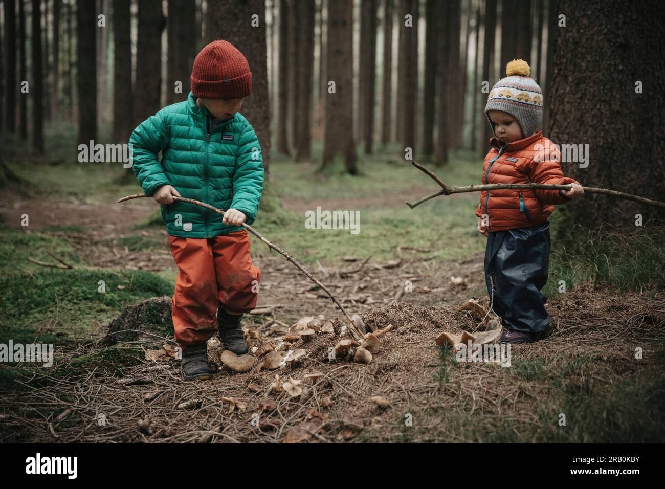 Frère et sœur dans la forêt Banque D'Images