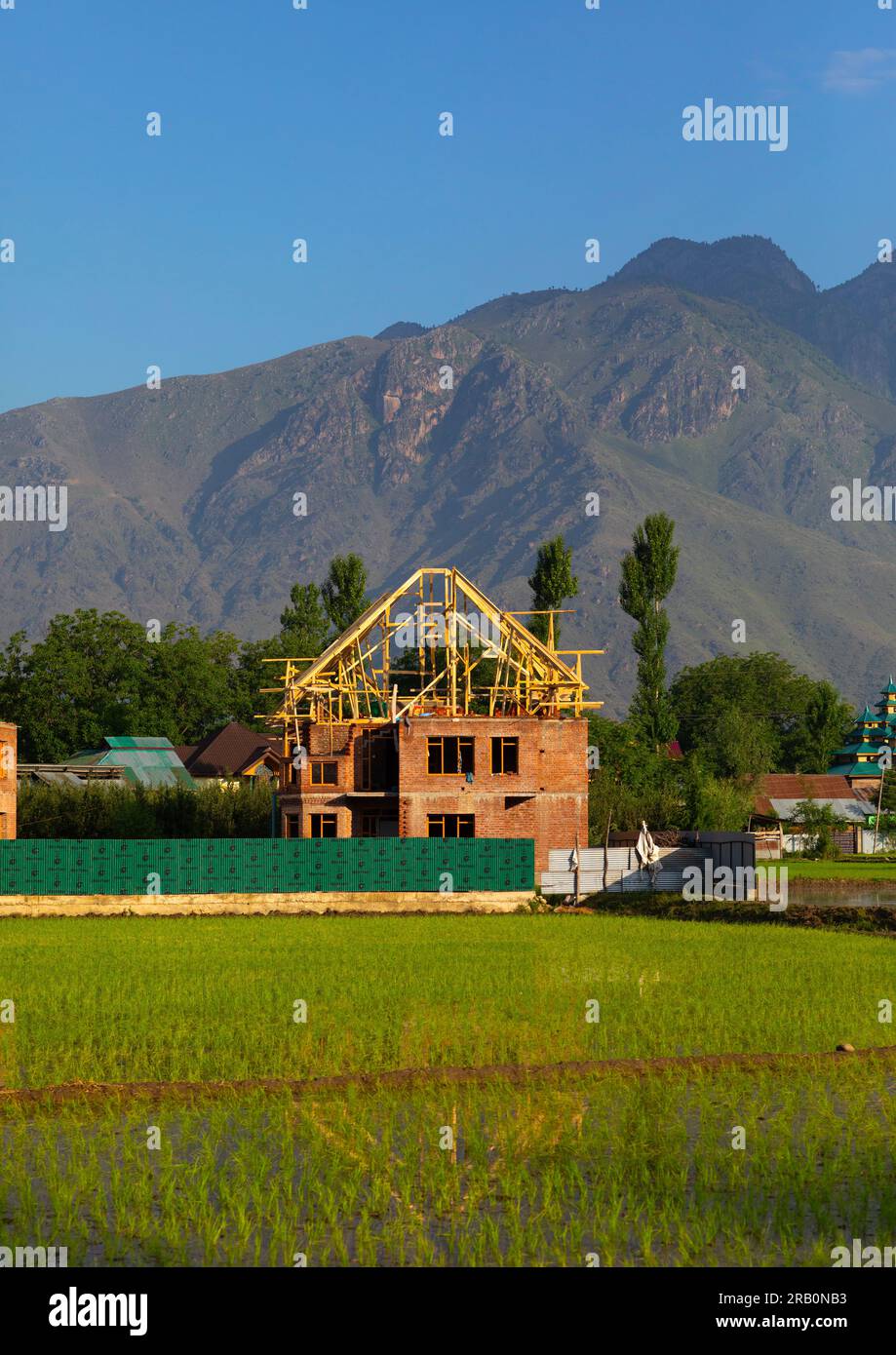 Construction de maisons, Jammu-et-Cachemire, Ganderbal, Inde Banque D'Images