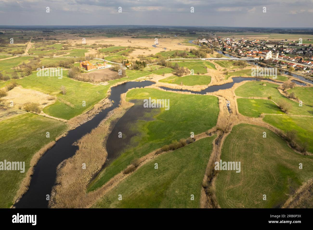 Europe, Pologne, voïvodie de Podlaskie, rivière Narew en Tykocin, source, backwaters, vieux lits de rivière Banque D'Images