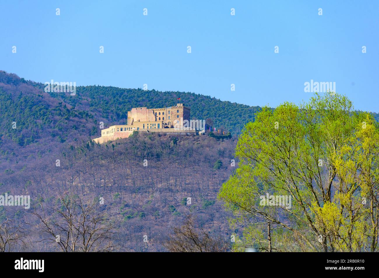 Allemagne, Rhénanie-Palatinat, Château de Hambach, symbole du mouvement démocratique allemand. Banque D'Images