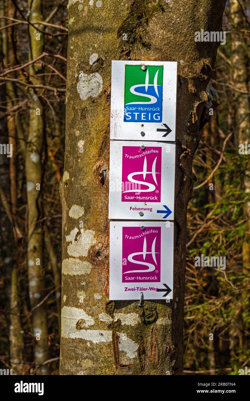 Signalisation à Waldhölzbach, sentier de randonnée Felsenweg Losheim am See, boucles de rêve Saar-Hunsrück, Parc naturel Saar-Hunsrück, Sarre, Allemagne Banque D'Images