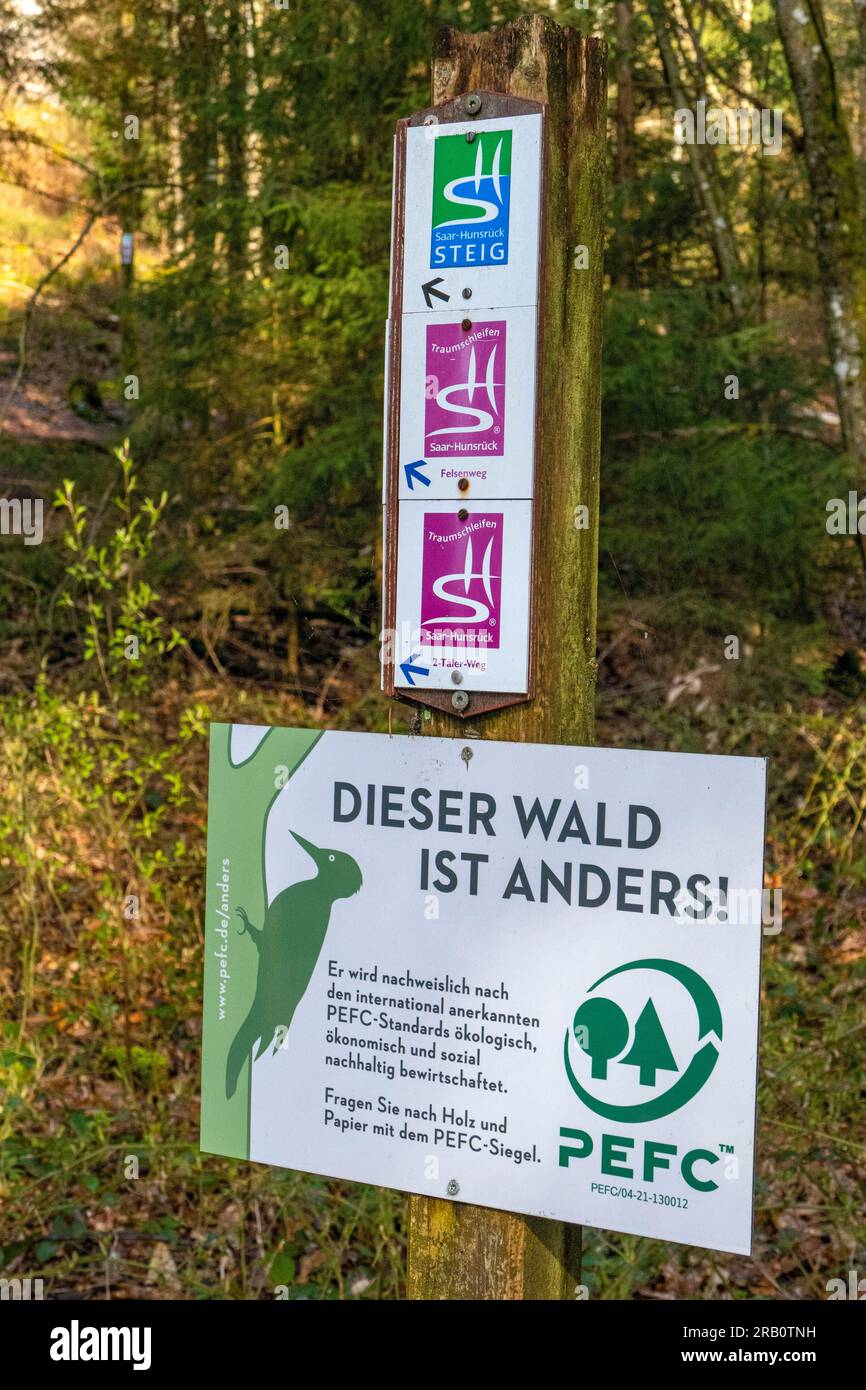 Signalisation à Waldhölzbach, sentier de randonnée Felsenweg Losheim am See, boucles de rêve Saar-Hunsrück, Parc naturel Saar-Hunsrück, Sarre, Allemagne Banque D'Images