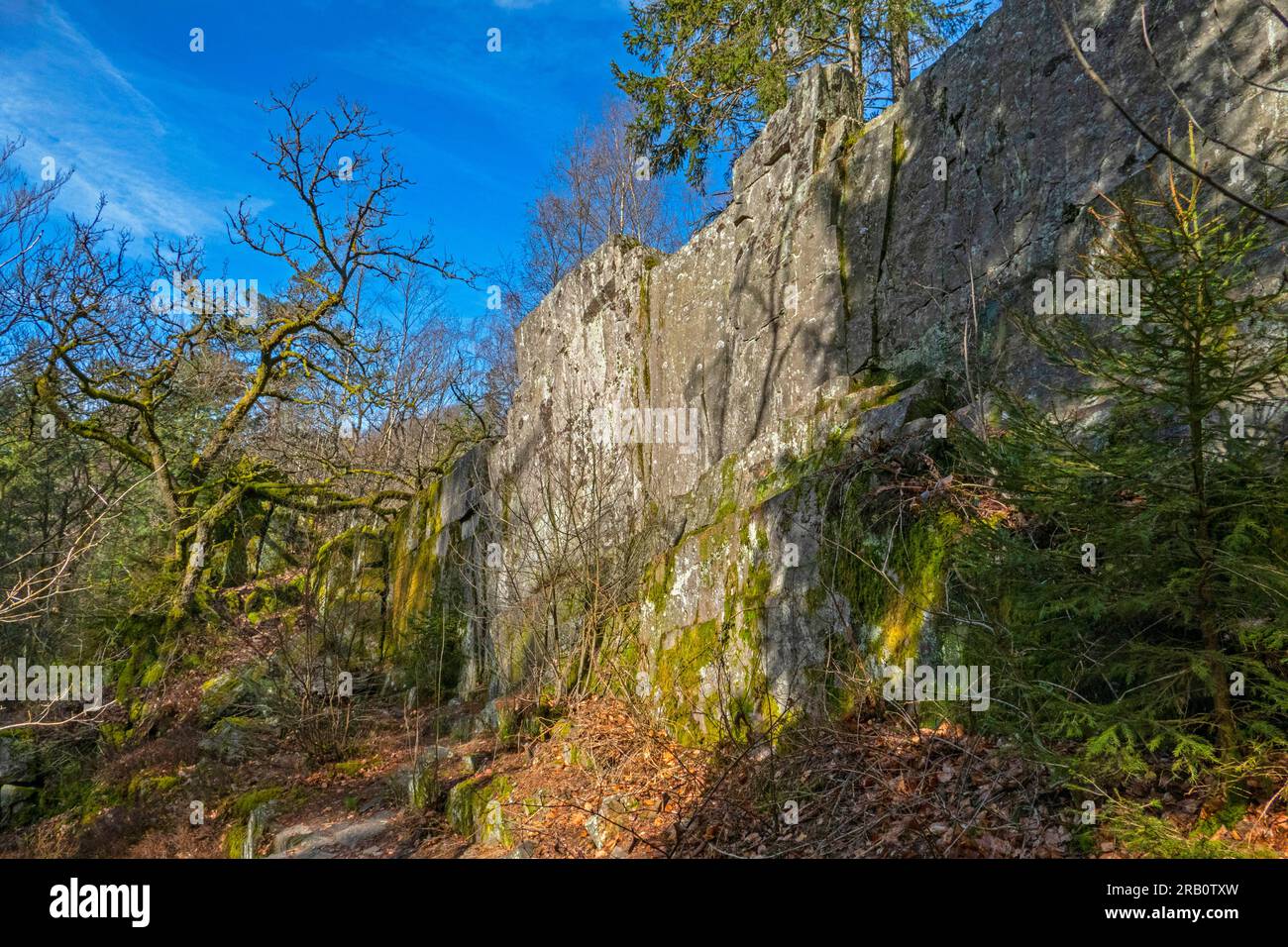 Bärenfelsen près de Scheiden sur le sentier de randonnée Felsenweg Losheim am See, boucles de rêve Saar-Hunsrück, Parc naturel Saar-Hunsrück, Sarre, Allemagne Banque D'Images