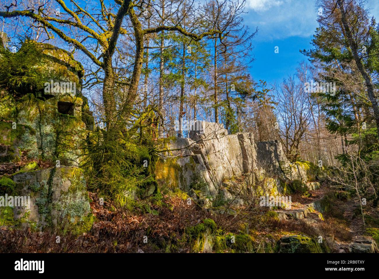 Bärenfelsen près de Scheiden sur le sentier de randonnée Felsenweg Losheim am See, boucles de rêve Saar-Hunsrück, Parc naturel Saar-Hunsrück, Sarre, Allemagne Banque D'Images