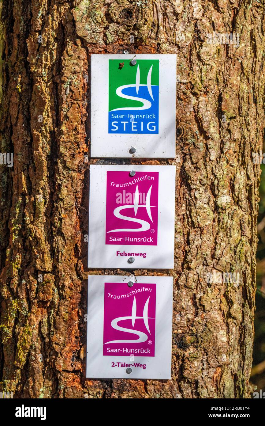 Signalisation à Waldhölzbach, sentier de randonnée Felsenweg Losheim am See, boucles de rêve Saar-Hunsrück, Parc naturel Saar-Hunsrück, Sarre, Allemagne Banque D'Images