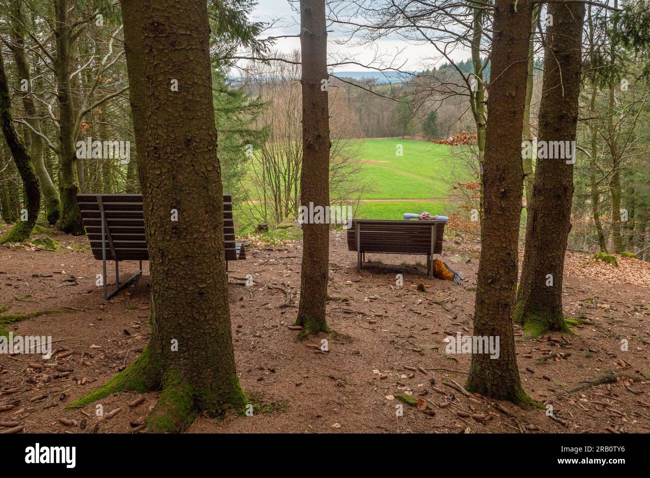 AM Adelsfelsen, sentier de randonnée Felsenweg Losheim am See, boucles de rêve Saar-Hunsrück, Parc naturel Saar-Hunsrück, Sarre, Allemagne Banque D'Images