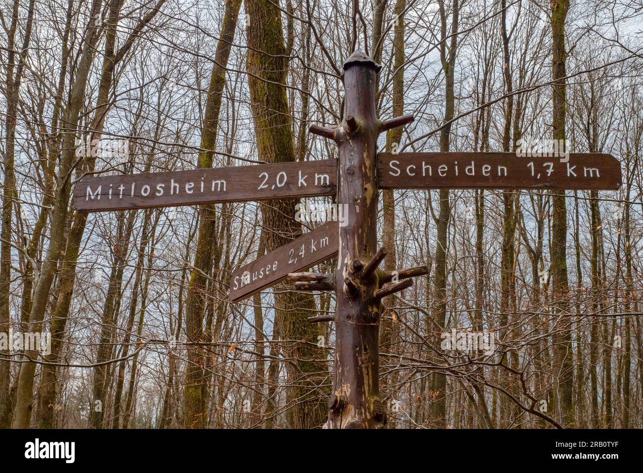 Panneau indiquant Hageberg, sentier de randonnée Felsenweg Losheim am See, boucles de rêve Saar-Hunsrück, Parc naturel Saar-Hunsrück, Sarre, Allemagne Banque D'Images