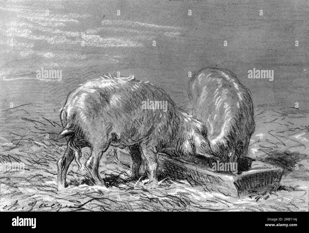 Two Pigs manger à partir d'un creux 1860 par Charles Jacque Banque D'Images