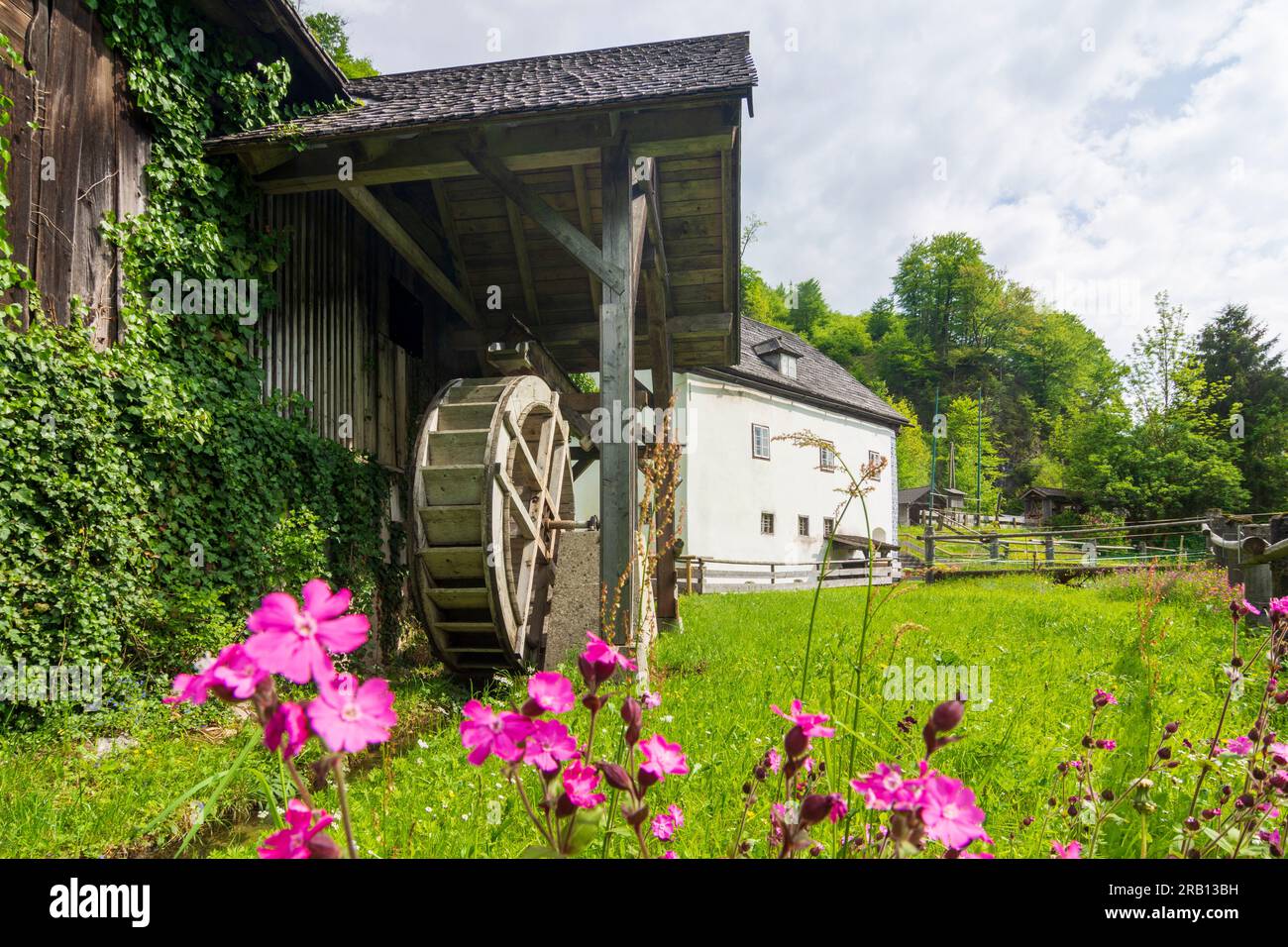 Bad Goisern am Hallstättersee, moulin à eau Anzenaumühle à Salzkammergut, haute-Autriche, Autriche Banque D'Images