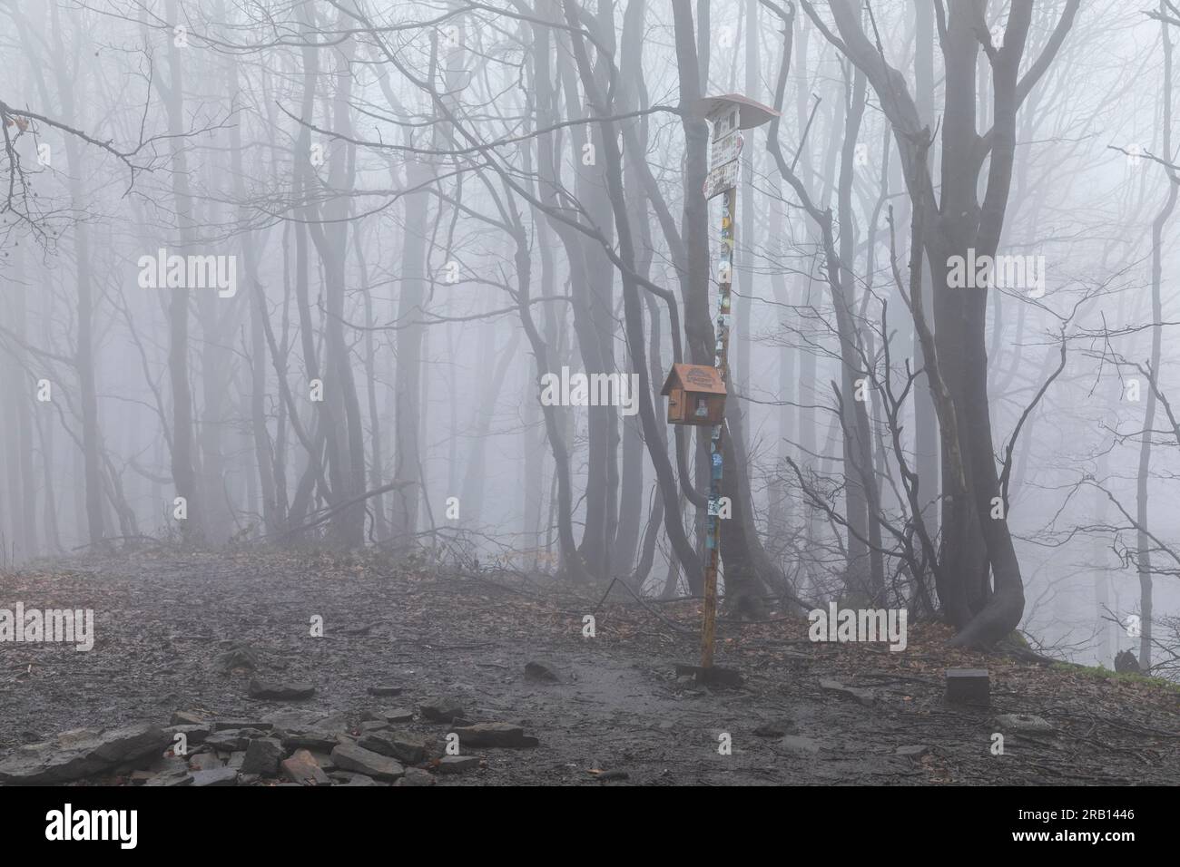 Europe, Pologne, petite-Pologne, Lackowa à Low Beskids Banque D'Images