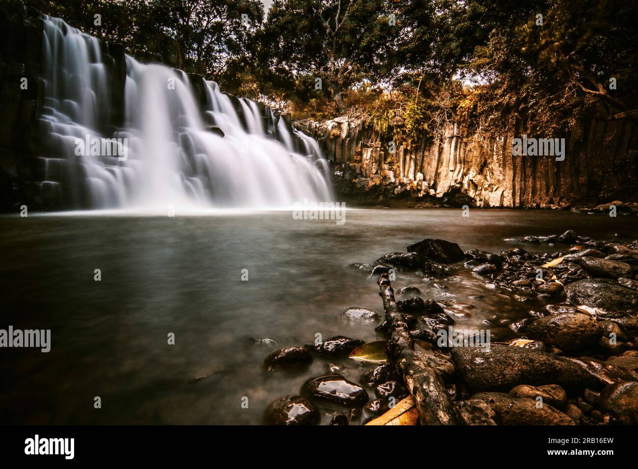 Belle cascade tombant sur des stèles de basalte, longue exposition dans la forêt de Rochester Falls, Maurice Banque D'Images