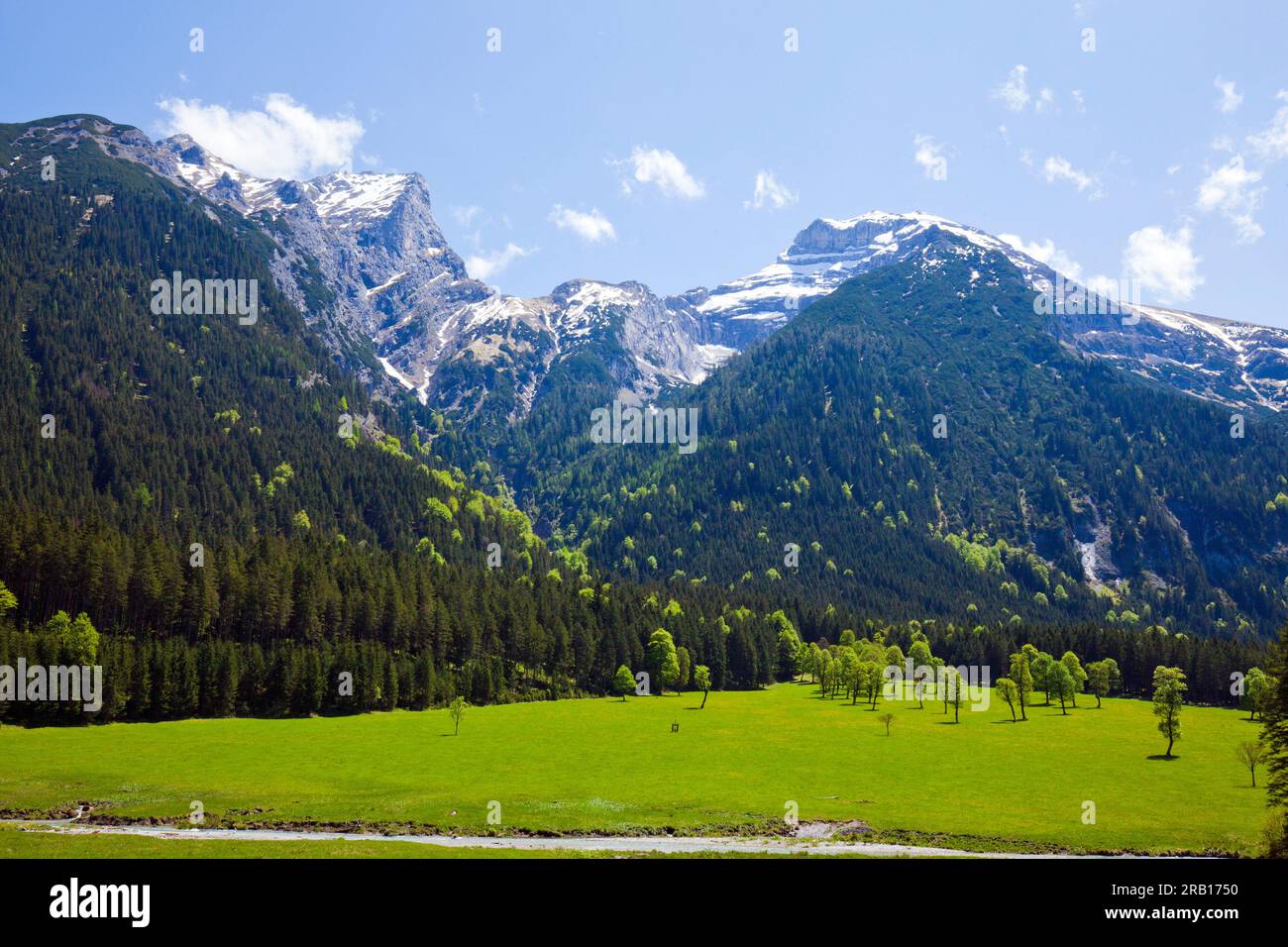 Printemps dans le Great Maple Grounds, Karwendel Mountains Banque D'Images