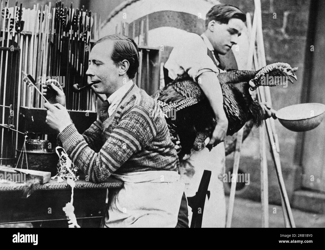 Meriden, Angleterre : vers 1926 Albert Thompson exploite une entreprise familiale vieille de 300 ans de fabrication d'arcs et de flèches. Il élève également des dindes pour fournir les 12 plumes spéciales de chaque oiseau pour la production des flèches. Banque D'Images