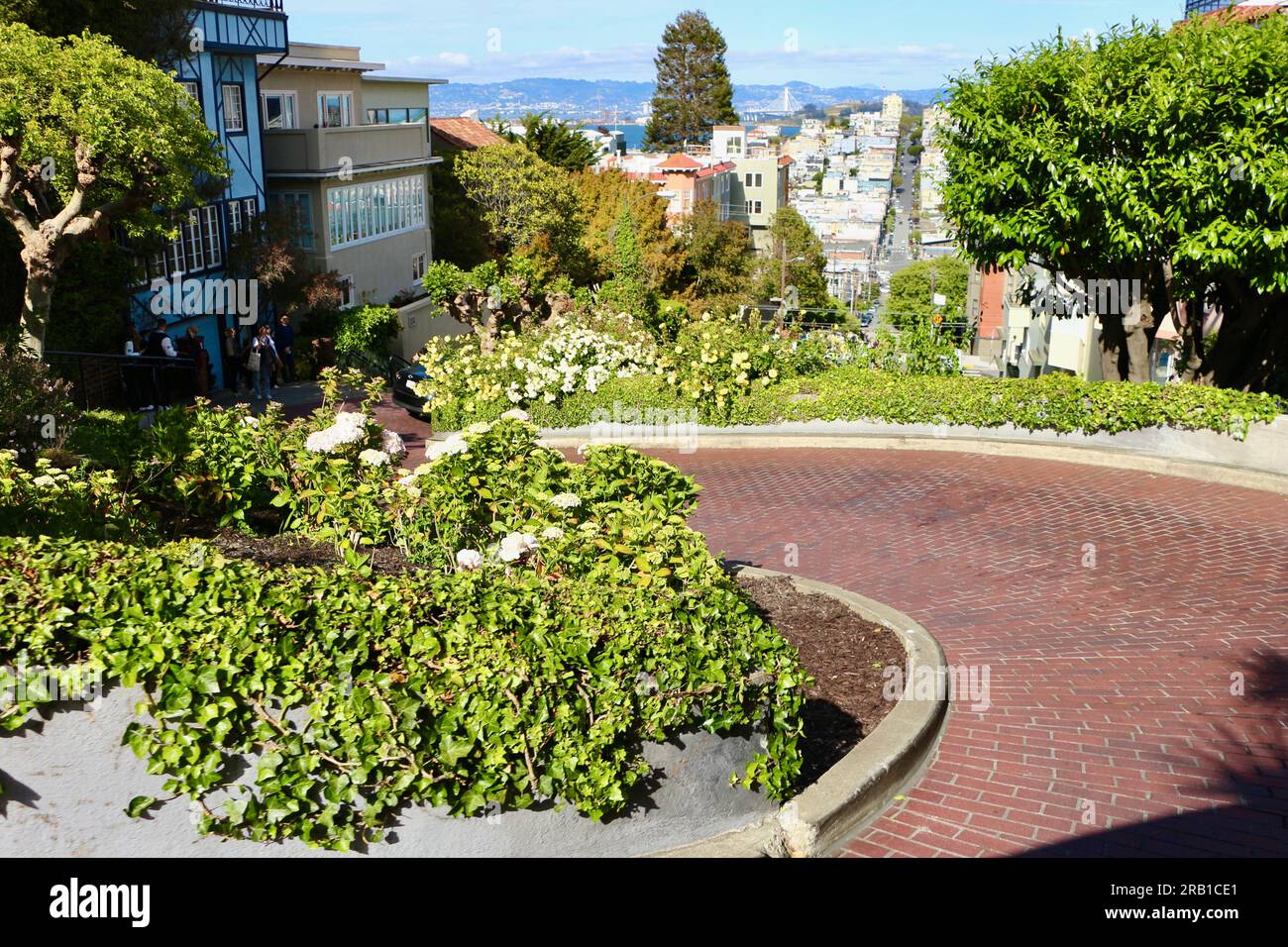 Connu comme la rue la plus tordue dans la section du monde de Lombard Street avec huit virages en épingle à cheveux d'une voiture descendant San Francisco Californie USA Banque D'Images