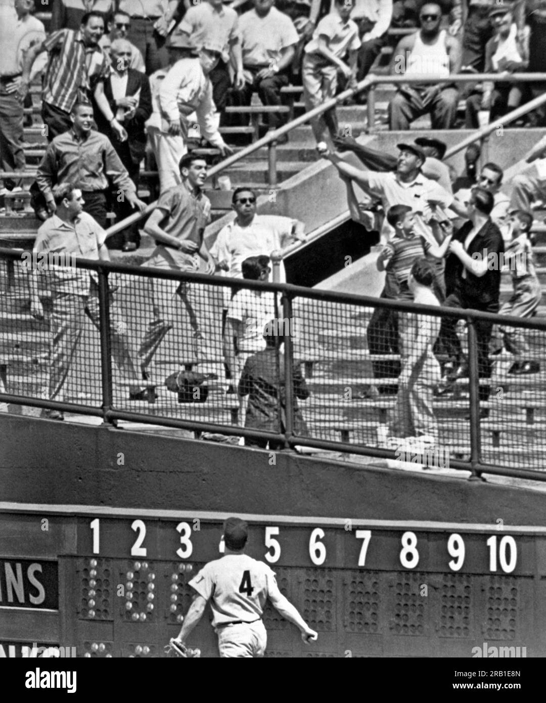 New York, New York : 7 juin 1961. Bob Allison des Twins du Minnesota regarde un fan des Yankees de New York au Yankee Stadium faire une prise d'une main du 9e circuit de l'année de Yogi Berra. C'était le 31e homer des Yankees en 16 matchs, un nouveau record. Banque D'Images