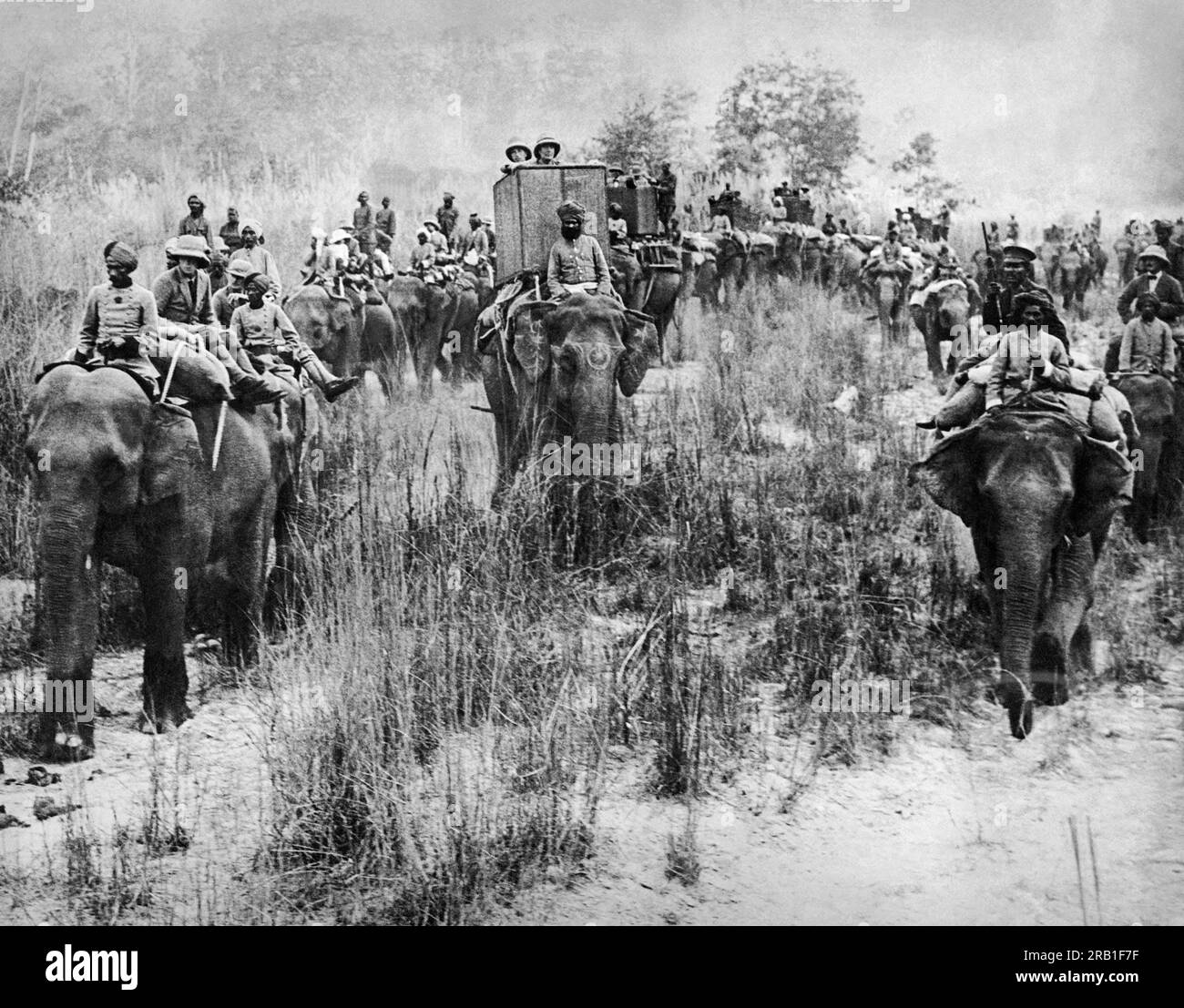 Népal : 29 janvier 1922 le prince de Galles (à gauche) perché au sommet d'un éléphant menant une expédition de chasse au tigre lors de sa tournée royale en Inde. Banque D'Images