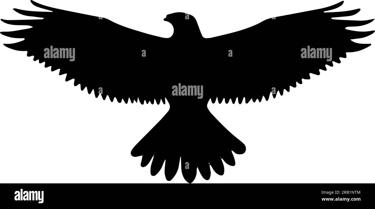 Aigle à tête blanche oiseau silhouette volante isolée. Illustration vectorielle Illustration de Vecteur