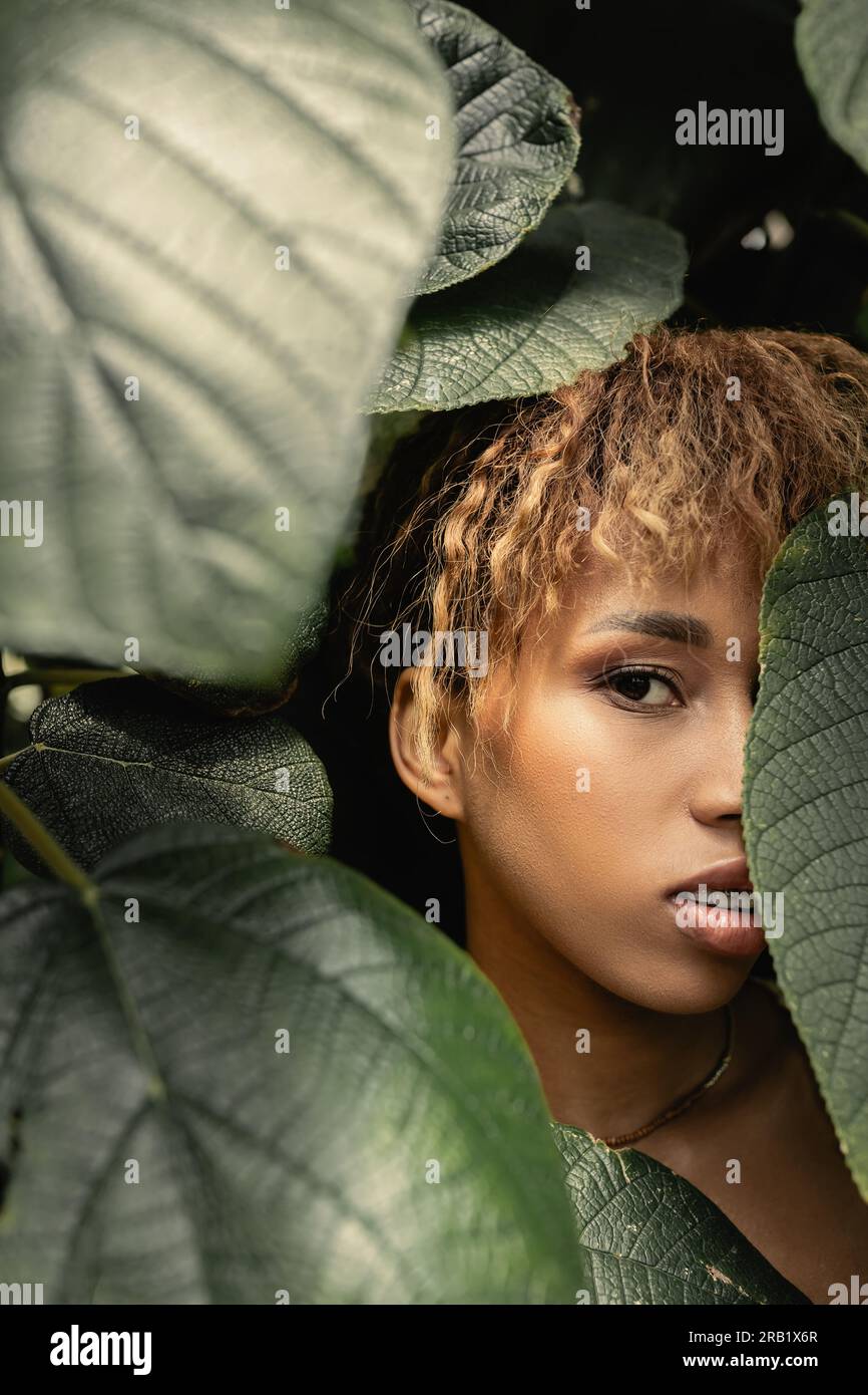 Portrait de jeune et tendance femme afro-américaine avec maquillage regardant la caméra tout en se tenant derrière le feuillage vert dans la serre, mode-avant l Banque D'Images