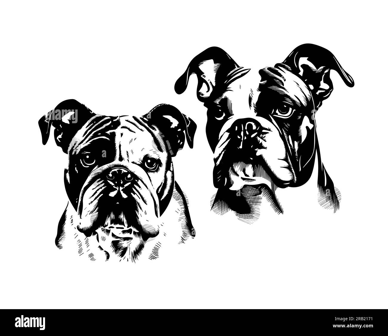 objet graphique monochrome bulldog. Visage de chien. Illustration vectorielle dessinée à la main. Illustration de Vecteur