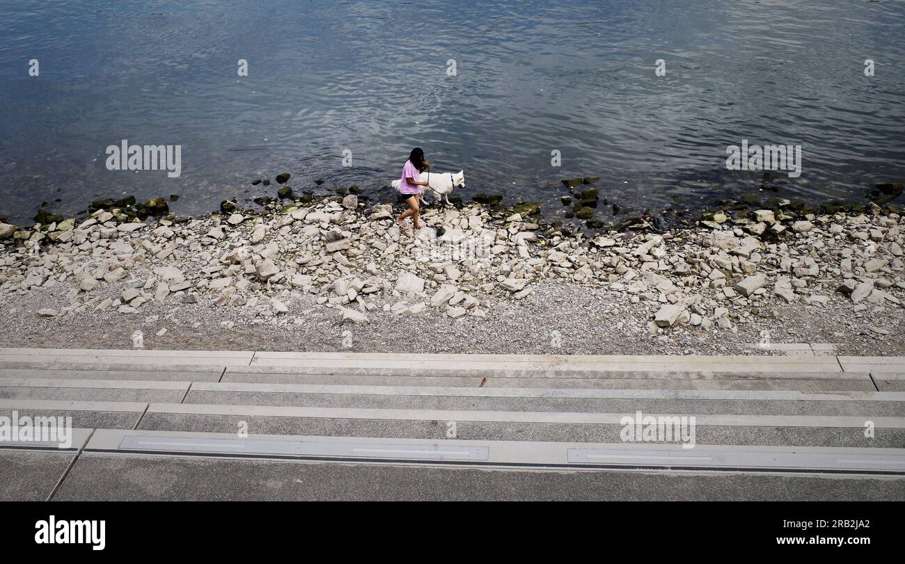 Jeune femme promène son chien blanc le long des rives exposées du Rhin pendant une sécheresse, causant les niveaux d'eau les plus bas sur le fleuve en Allemagne. Banque D'Images