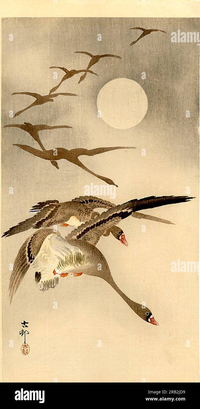 Huit oies à front blanc en vol ; pleine lune derrière par Ohara Koson Banque D'Images