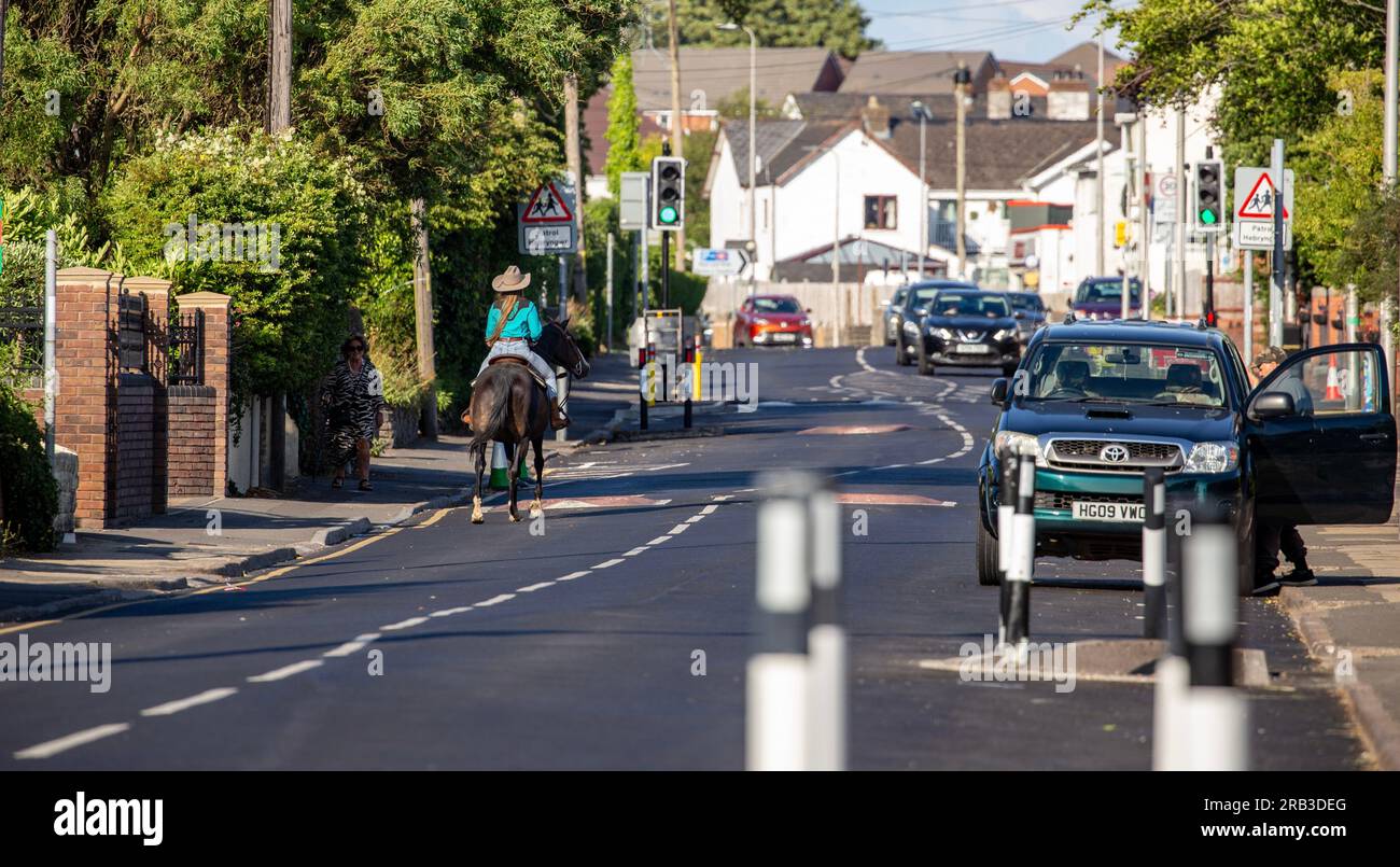 Horserider sur la route Banque D'Images