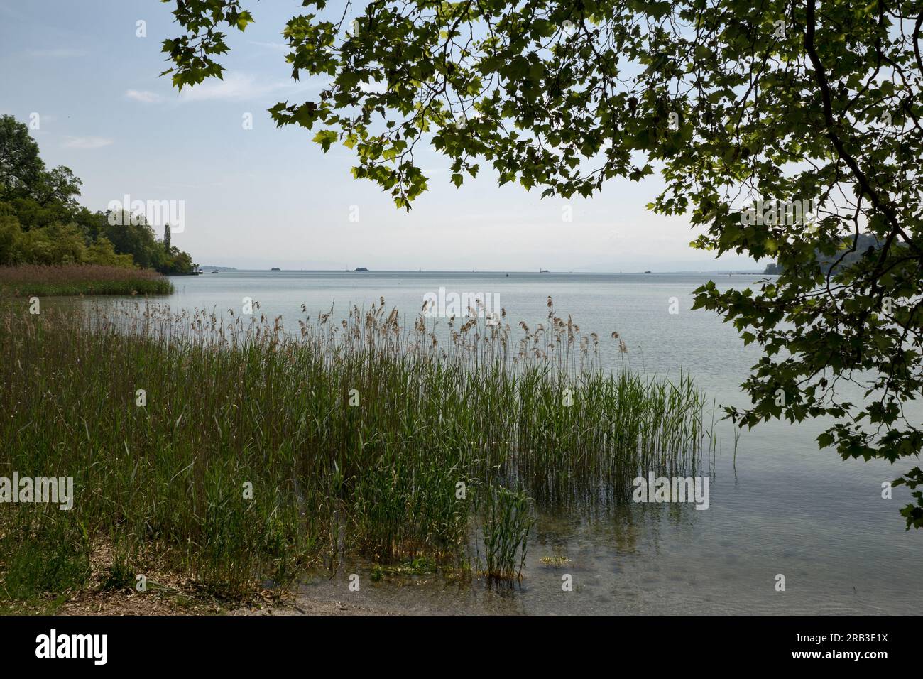 Île de Mainau, Allemagne : Lac de Constance. Vue idyllique sur le lac de Constance. Banque D'Images Île de Mainau, Allemagne : Lac de Constance. Vue idyllique sur le lac de Constance. Banque D'Images