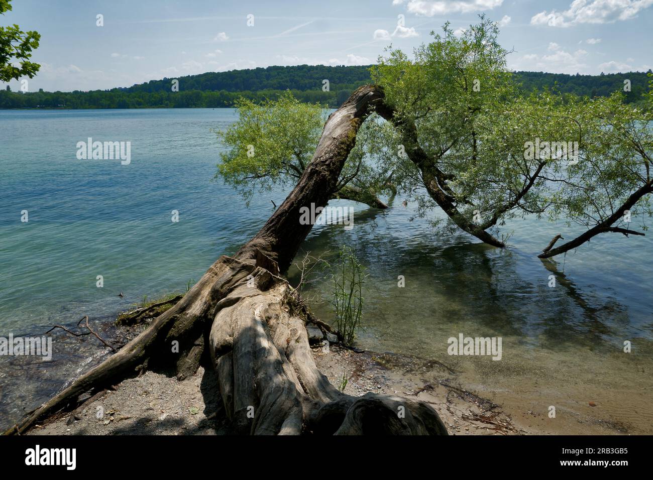 Île de Mainau, Allemagne : Lac de Constance. Vue idyllique sur le lac de Constance. Banque D'Images Île de Mainau, Allemagne : Lac de Constance. Vue idyllique sur le lac de Constance. Banque D'Images