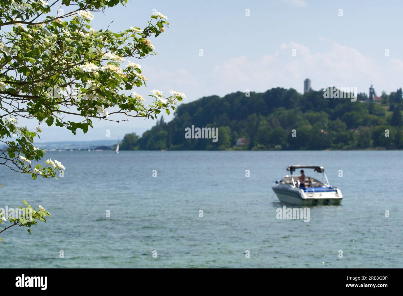 Île de Mainau, Allemagne : Lac de Constance. Vue idyllique sur le lac avec bateaux sur une journée d'été Banque D'Images Île de Mainau, Allemagne : Lac de Constance. Vue idyllique sur le lac avec bateaux sur une journée d'été Banque D'Images