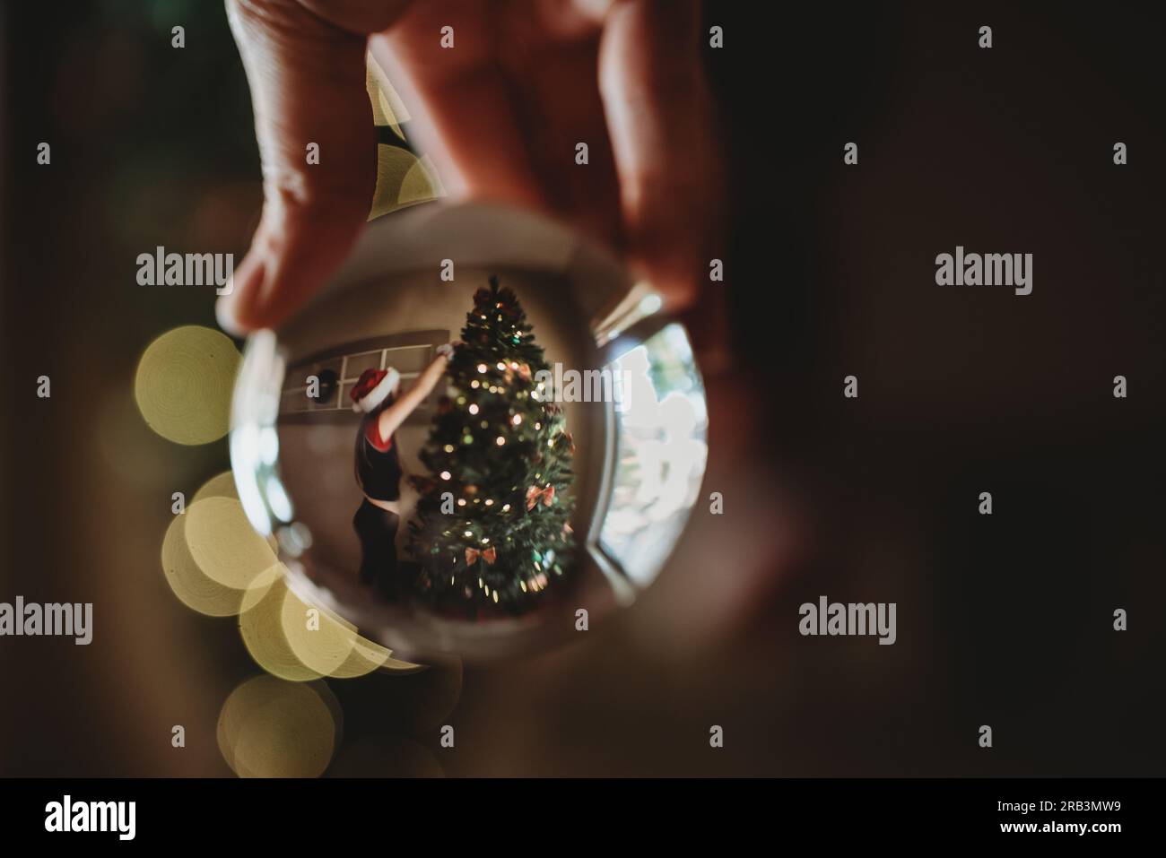 Fille taillant l'arbre à travers l'objectif Banque D'Images