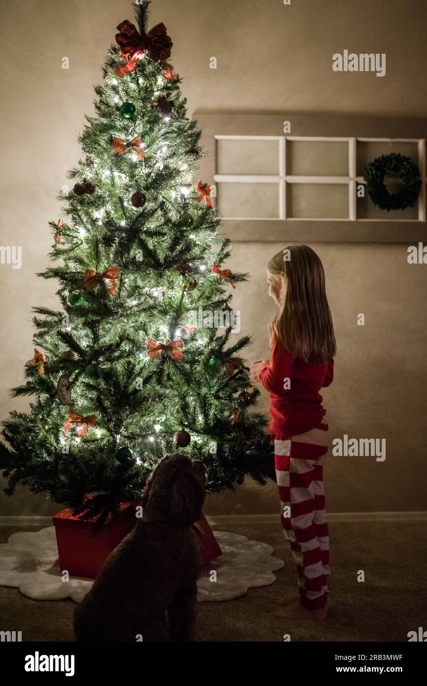 Fille et chien regardant l'arbre de noël Banque D'Images