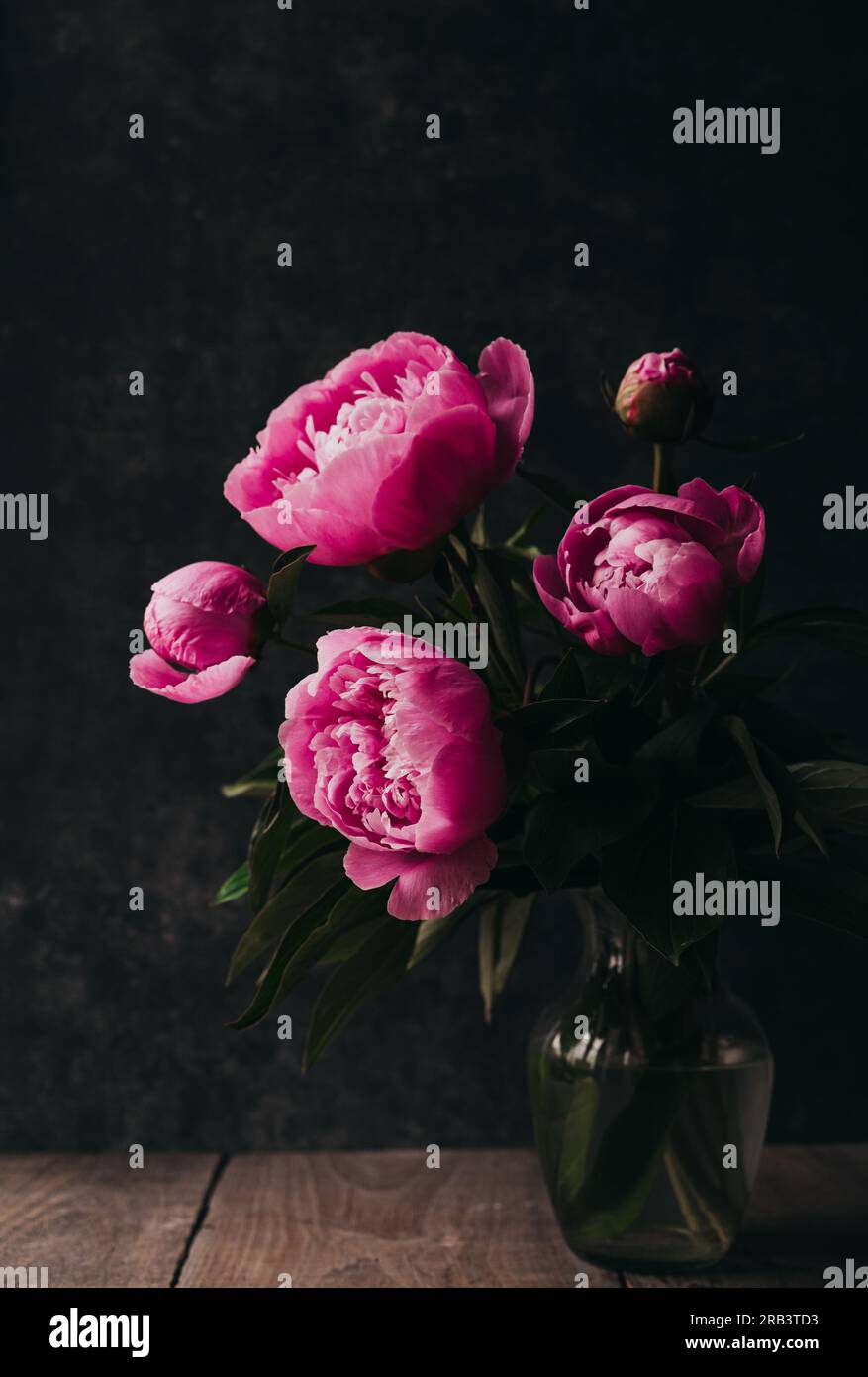 Nature morte d'un bouquet de fleurs roses de pivoine dans un vase sur la table. Banque D'Images