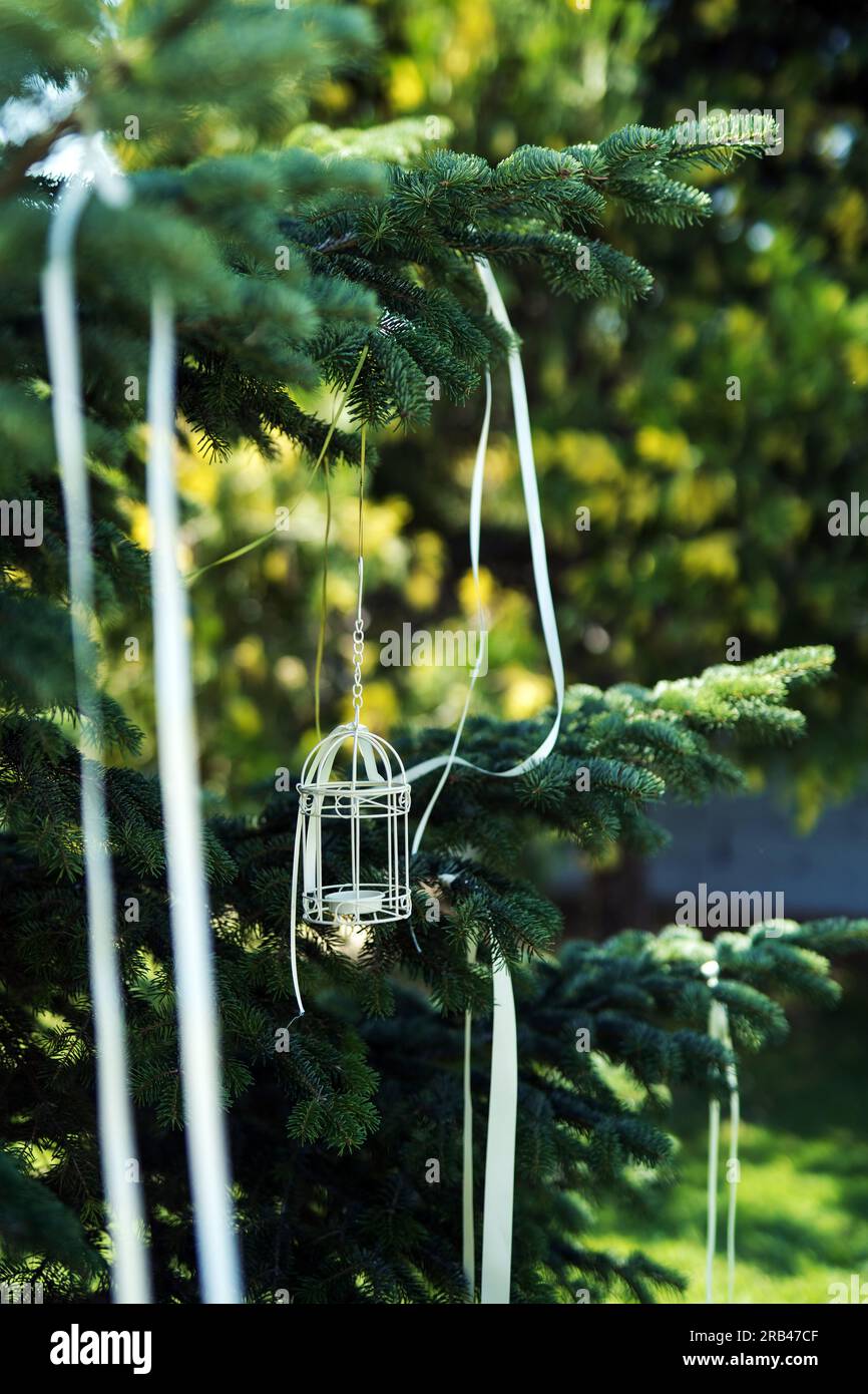 Tolle Dekoration mit einer Laterne auf einem Tannenbaum Banque D'Images