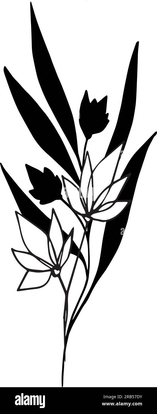 Illustration botanique vectorielle, branche avec feuilles et fleurs, contour et silhouette. Jardin, champ, prairie plantes sauvages récoltées dans la collection de bouquet Illustration de Vecteur