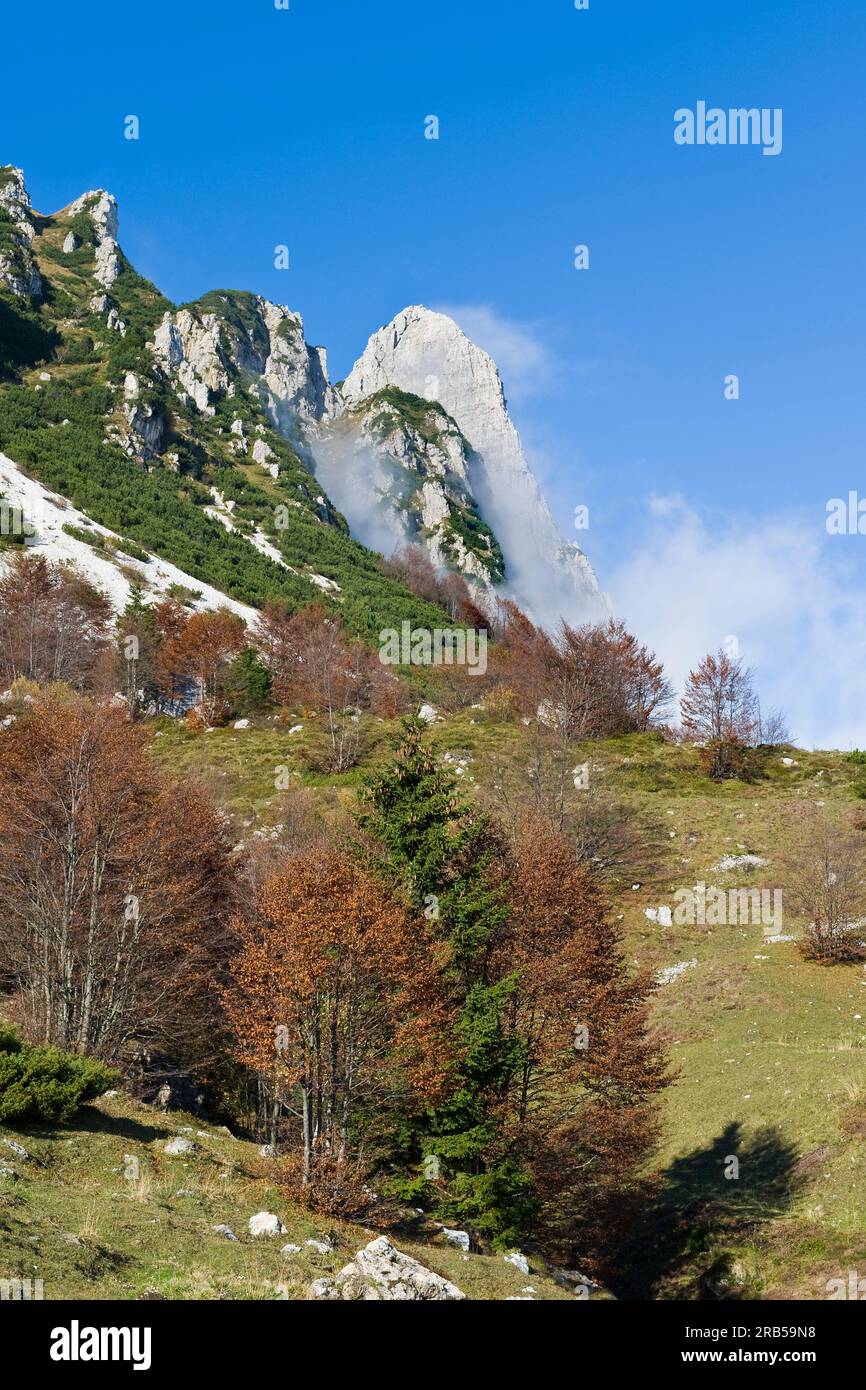 Col de Campogrosso. Italie Banque D'Images