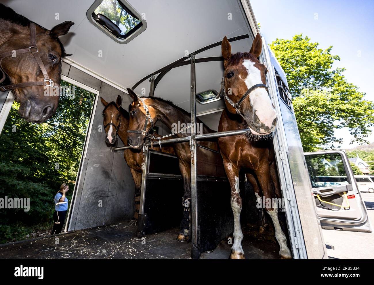 Mezni Louka, République tchèque. 07 juillet 2023. Les policiers préparent les chevaux pour une promenade d'inspection dans le Parc National de la Suisse Bohême pour s'assurer que les touristes respectent les règlements des visiteurs, en particulier l'interdiction de fumer, 7 juillet 2023, Mezni Louka, Hrensko dans la région de Decin. L'incendie qui a éclaté en Suisse bohémienne le 24 juillet 2022 a été le plus grand feu de forêt de l'histoire tchèque moderne, touchant plus d'un millier d'hectares. L'incendie a également touché une partie de la forêt en Allemagne, dans le parc national de Saxe Suisse. Crédit : Hajek Vojtech/CTK photo/Alamy Live News Banque D'Images