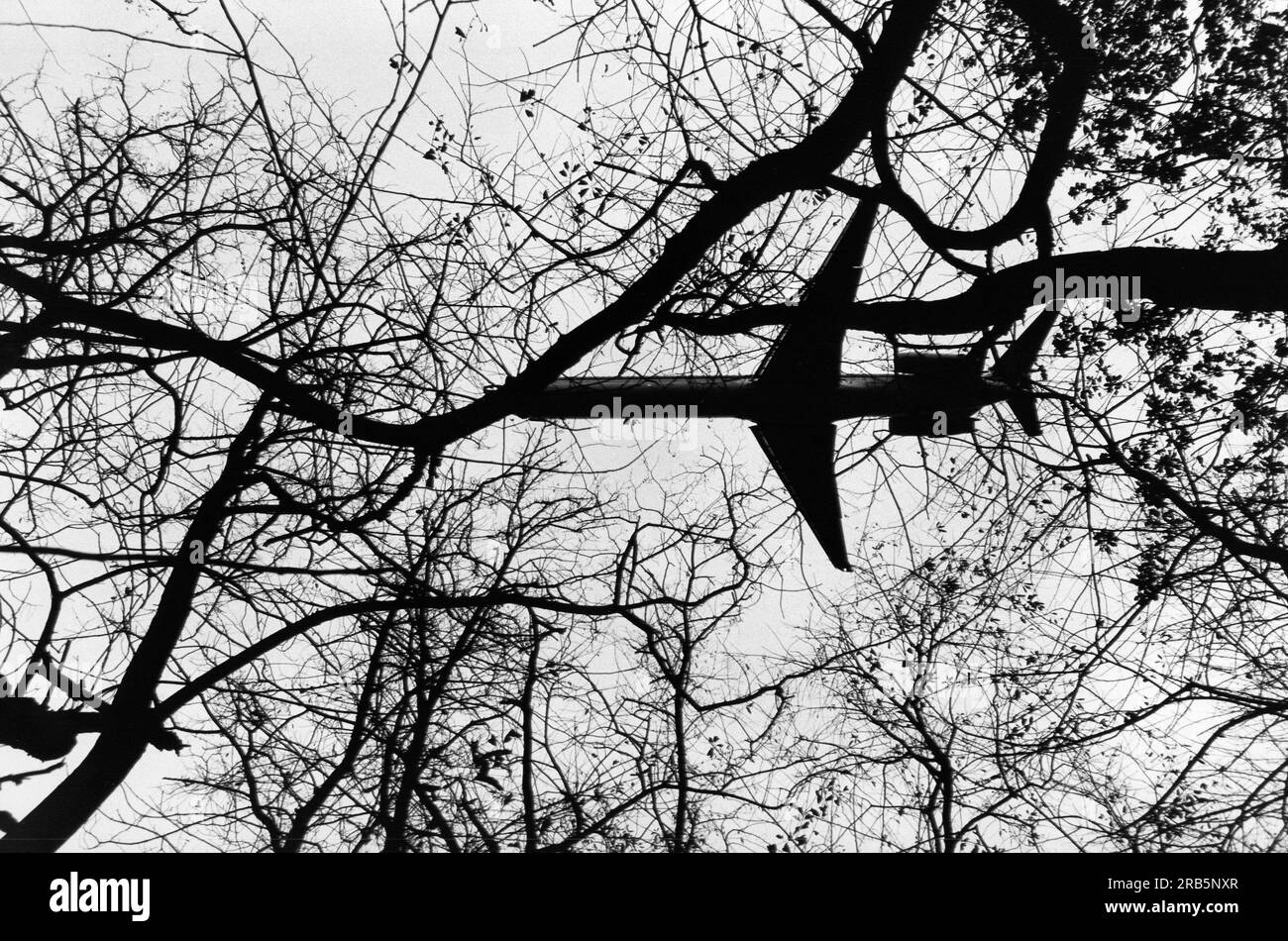 Europe. Italie. Lombardia. Ticino Park près de l'aéroport de Malpensa Banque D'Images