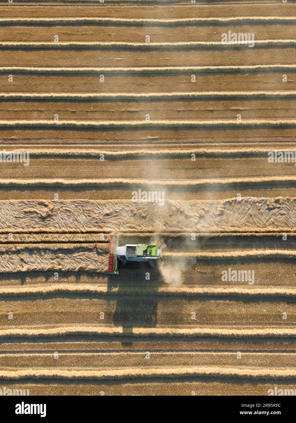 Petershagen, Allemagne. 07 juillet 2023. Un agriculteur récolte un champ de céréales avec une moissonneuse-batteuse au soleil du soir (photo aérienne prise avec un drone). Dans de nombreuses régions d'Allemagne, la récolte des céréales bat déjà son plein. Crédit : Boris Roessler/dpa/Alamy Live News Banque D'Images
