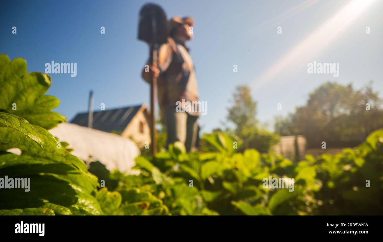Le fermier se tient avec une pelle dans le jardin de la ferme. Concept de jardinage. Travaux agricoles sur la plantation Banque D'Images
