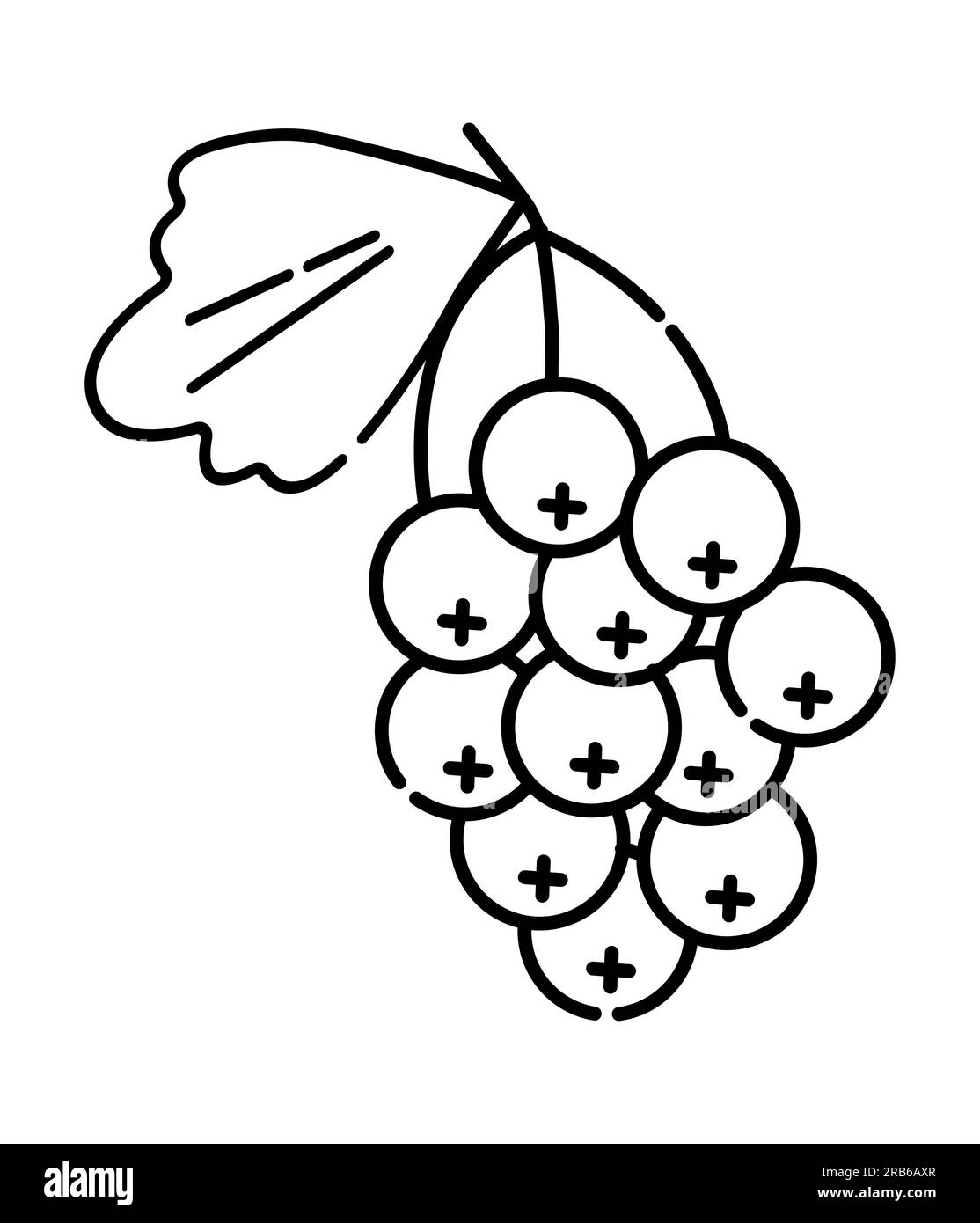Bouquet d'icône de ligne vectorielle noir et blanc de groseilles Illustration de Vecteur