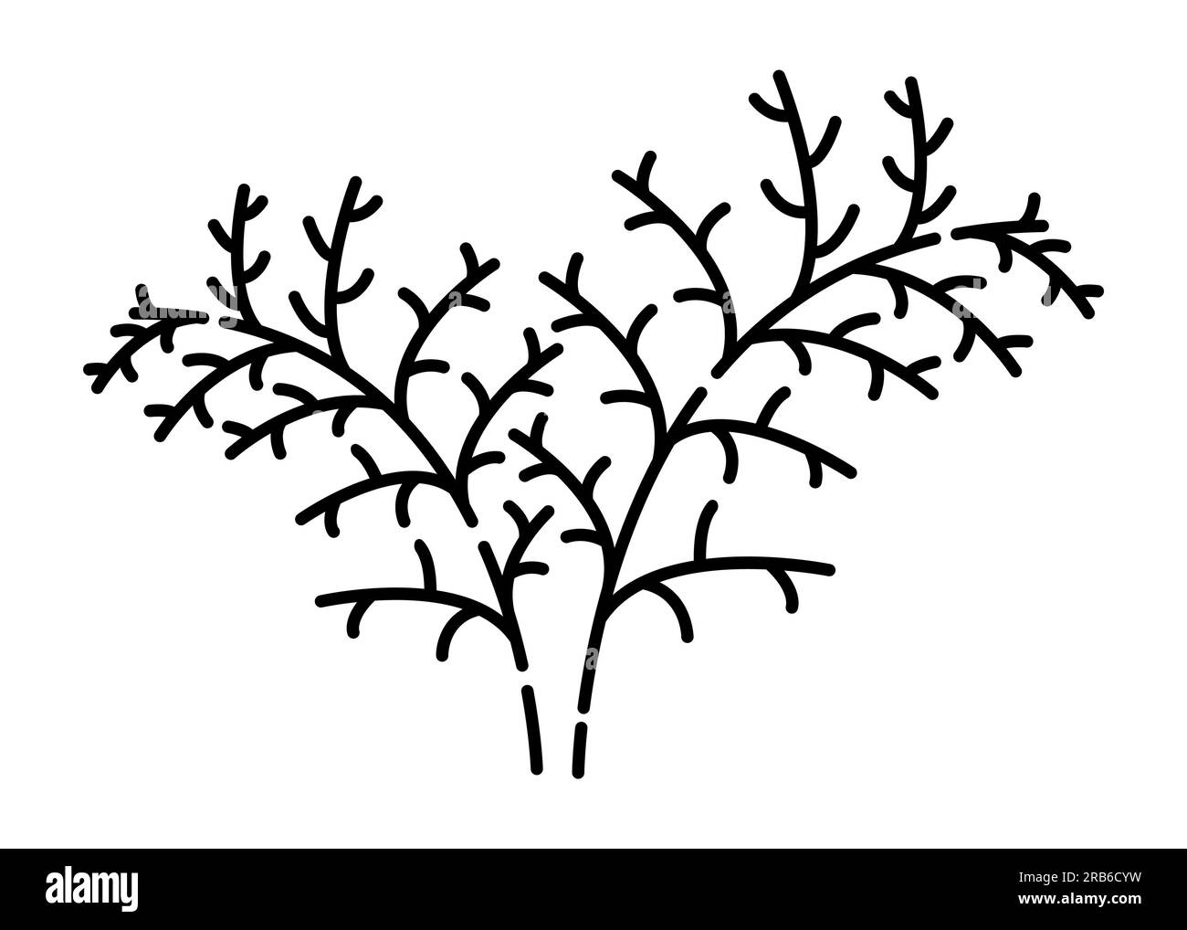 Illustration de ligne vectorielle noir et blanc à l'aneth Illustration de Vecteur