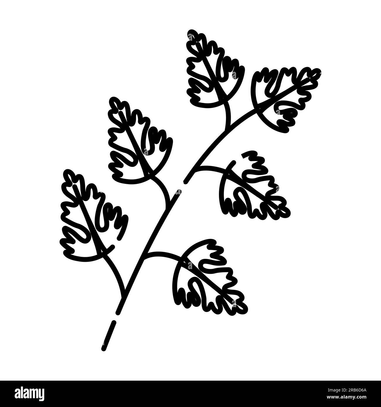 Icône de ligne vectorielle noire et blanche de branche de persil Illustration de Vecteur