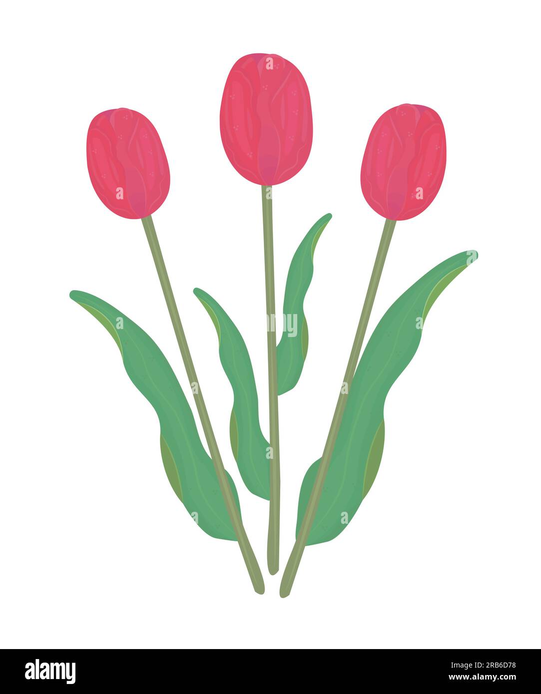 Trois tulipes rouges avec des feuilles, illustration colorée Illustration de Vecteur