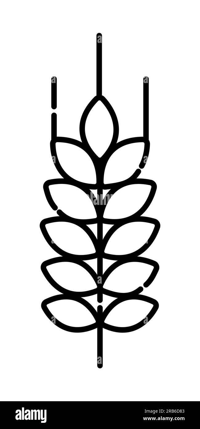 Icône de ligne vectorielle en épillet de blé noir et blanc Illustration de Vecteur