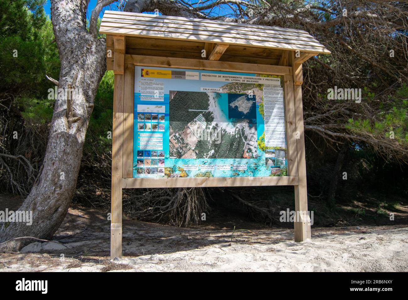 Panneau d'information sur la flore et la faune de Cala Agulla. Palma de Majorque (Majorque) île Banque D'Images