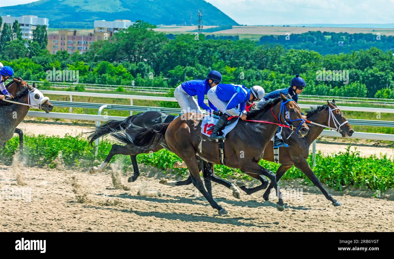Course pour le prix Dausuza parmi les chevaux pur-sang à l'hippodrome de Piatigorsk, Caucase du Nord Banque D'Images