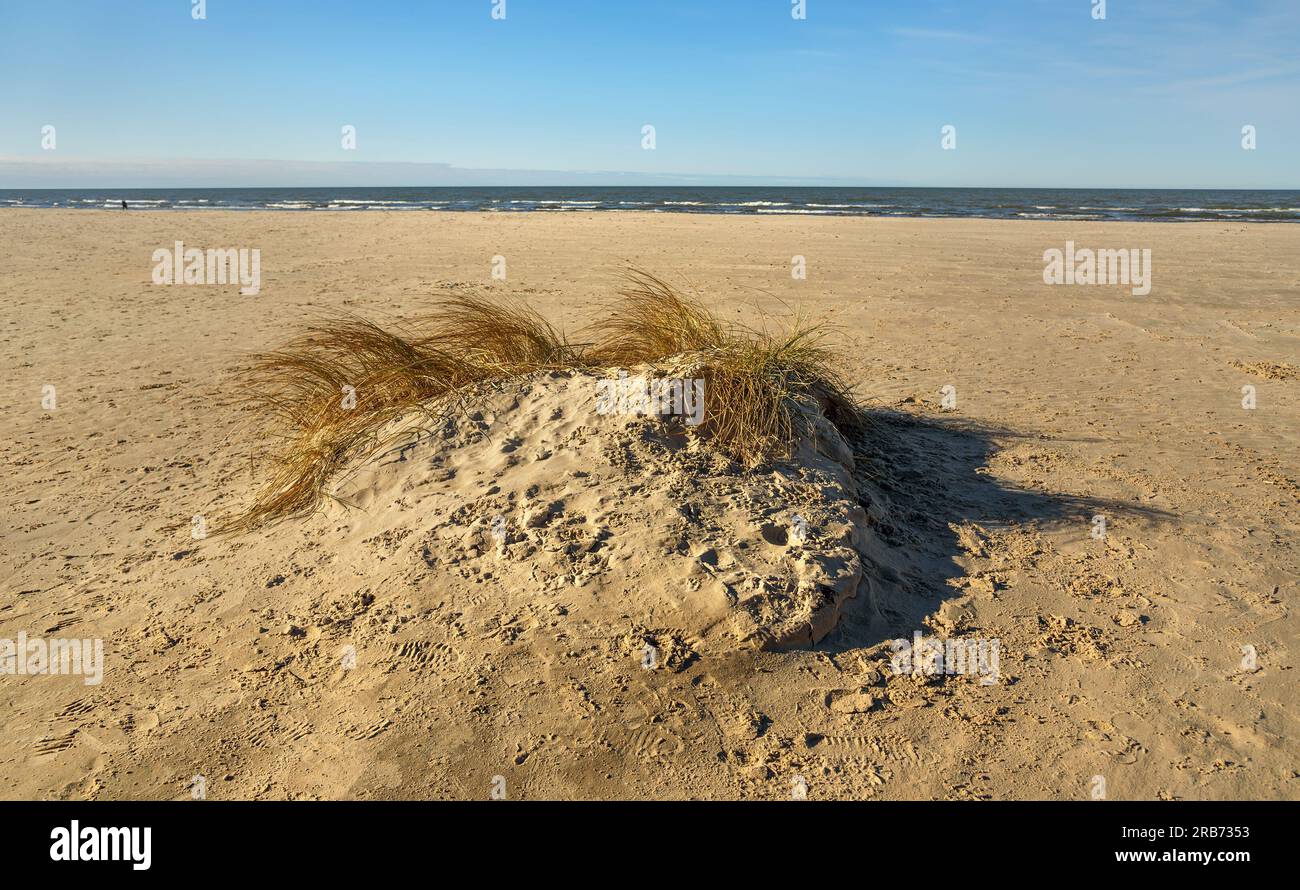 La côte naturelle de la mer Baltique avec une petite dune. Banque D'Images