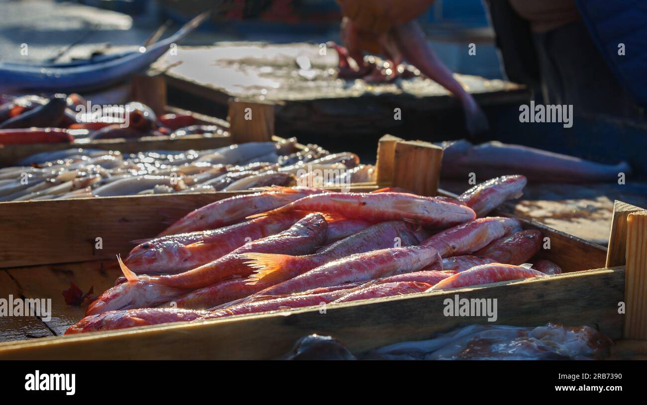 Vue sur le marché aux poissons de la rue. Banque D'Images