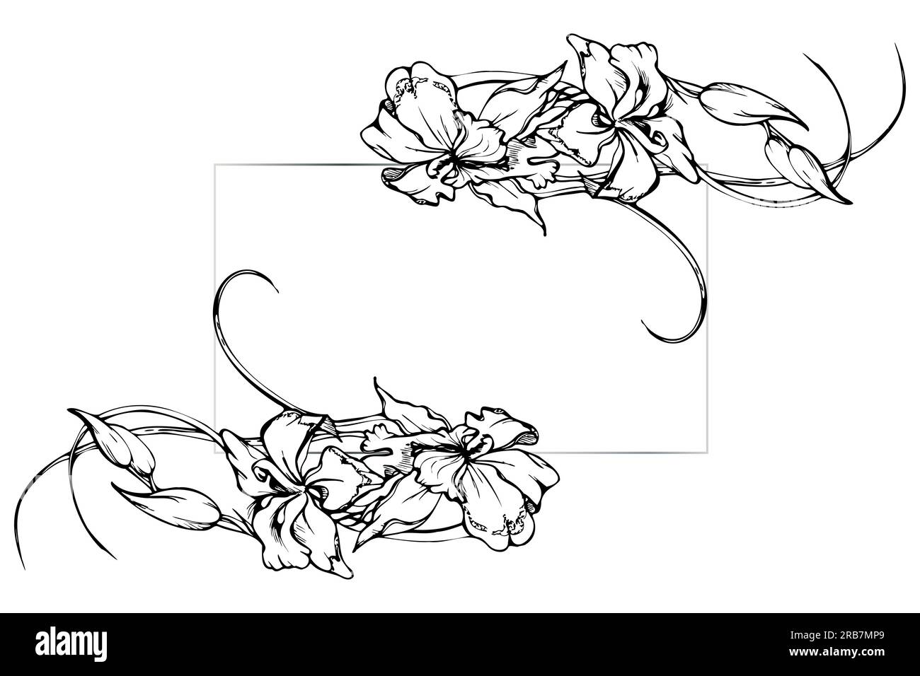 Fleurs et branches d'orchidées à encre vectorielle dessinées à la main, monochrome, contour détaillé. Composition horizontale du cadre. Isolé sur fond blanc. Conception Illustration de Vecteur