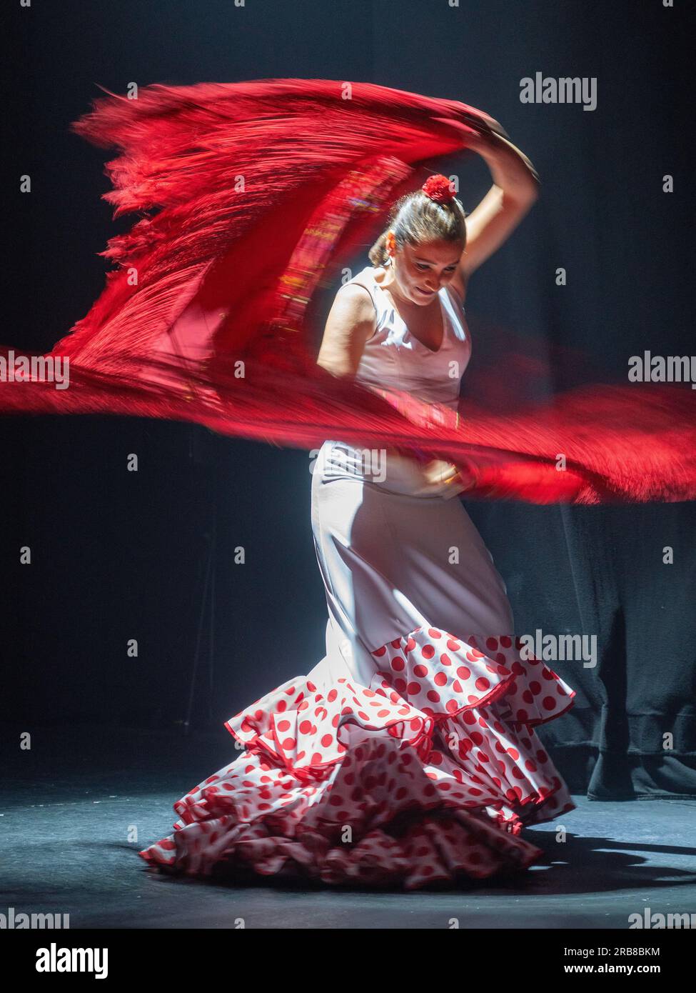 Spectacle de flamenco au Teatro Flamenco Sevilla Banque D'Images